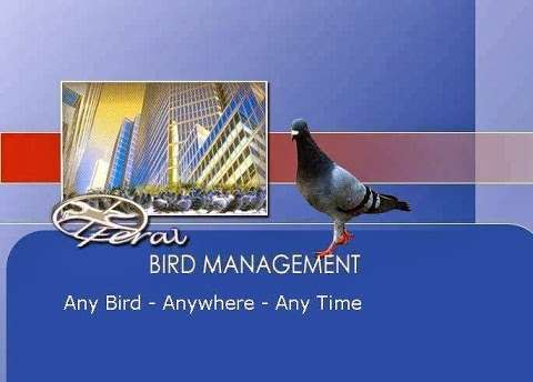 Photo: Feral Bird Management